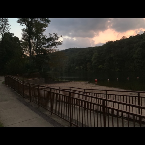 Meet your Posher, Lucy - Picture 6 of 8